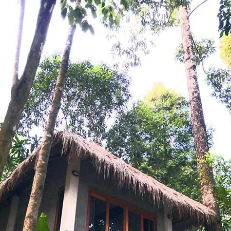 Little Moon Villa-3